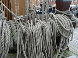 bundled ropes