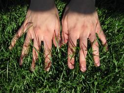 Hands Grass green