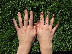 Hands Grass