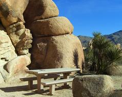 mojave desert National Park