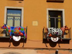 Cows Colorful decor