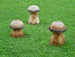 Mushrooms Wood fig