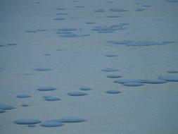 perfect Frozen Lake Ice