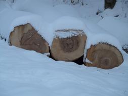 Lying tree trunks in snow in beautiful winter