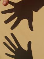 Shadow Play Hands