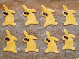 Bunny Cakes