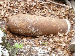 Flying Bomb World War I
