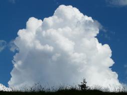 fabulous Cumulus Clouds