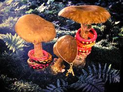 goodly Mushrooms