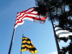 striped flags on flagpoles against a blue sky