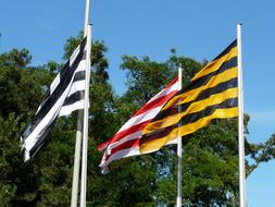 goodly Flags Blow Colorful