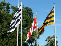 Flags Blow
