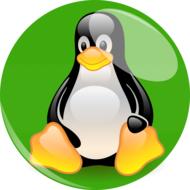 drawn penguin in a green circle