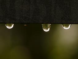 photo of hanging water drops