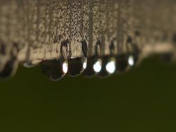 wallpaper with raindrops