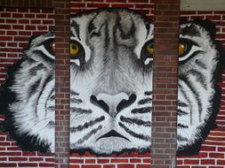 Tiger Art face drawing