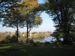 Autumn Trees lake sky