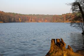 photo of a stump on the shore of an autumn lake