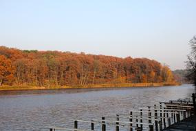 Autumn Lake and red Trees