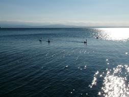 fabulous Lake Constance