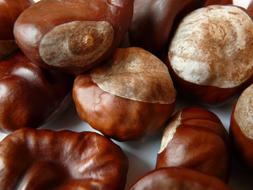 ravishing Chestnut Brown