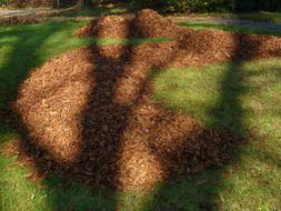 red Leaf Piles Park