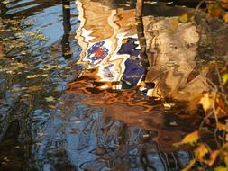 colorful reflection on the surface of the lake