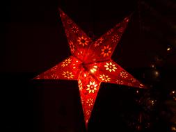 perfect Star Poinsettia Decor