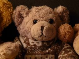 Teddy Bear Soft Fluffy toy