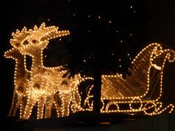santaâs sledge with Reindeer, christmas lights