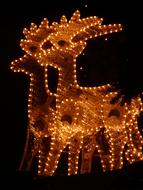 shining Christmas Reindeer