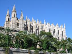 nice Cathedral mallorca