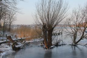 Winter Ice Trees lake