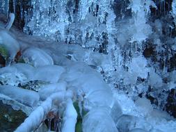 goodly Winter Ice tree