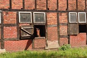 Horse Stable