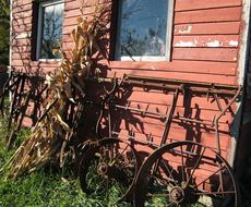 Red farm, with the windows, in sunlight, among the colorful plants