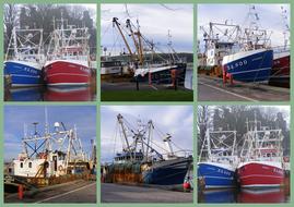 Trawlers Collage Fishing photo