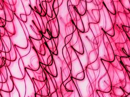 pink magenta colour twist
