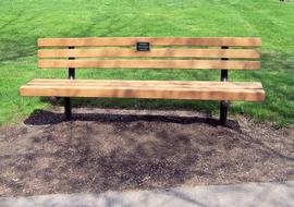 new wooden park bench