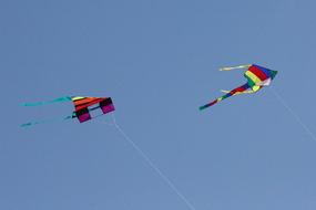 Kite Colourful