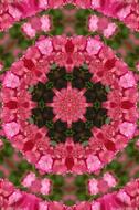 Beautiful pink and green mandala drawing