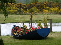 Grass Boat