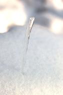 small Icicle in Snow