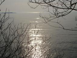 Lake Sun grey