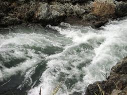 macro photo rapids of a mountain river