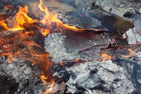 red Fire Burning