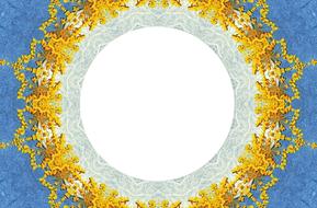 flowers yellow lace drawing