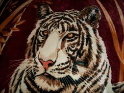 Tiger Bengal White drawing