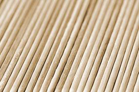 Sticks Wood