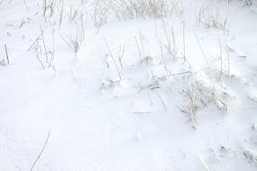 Snow Cold Winter grass